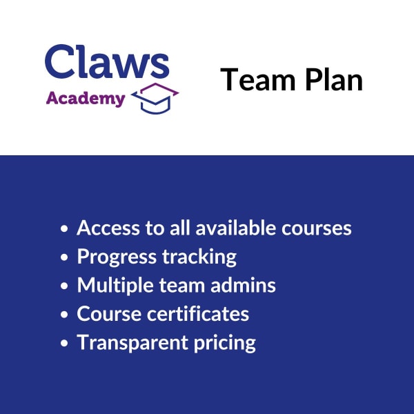 Team Plan Features