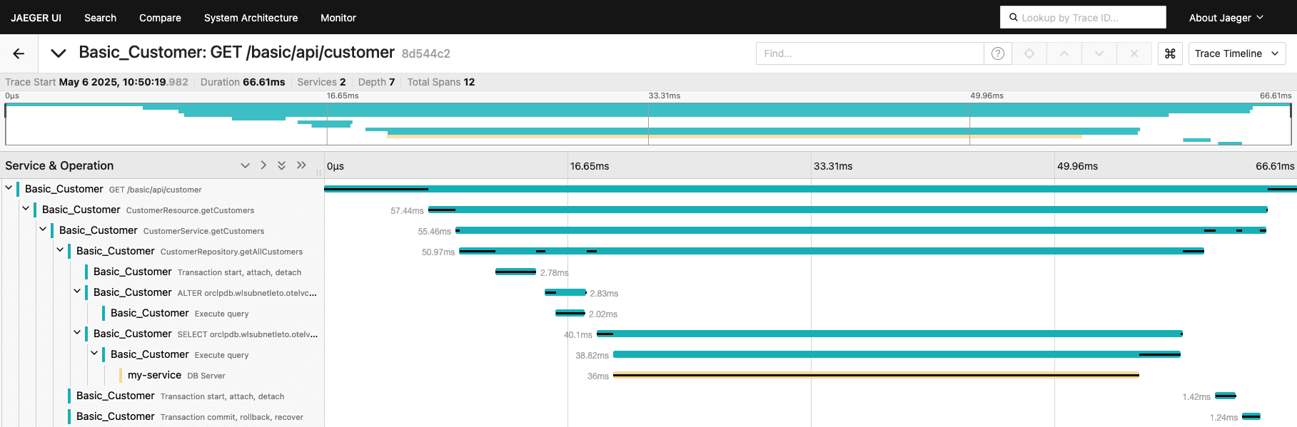 basicCustomer 追踪跨度
