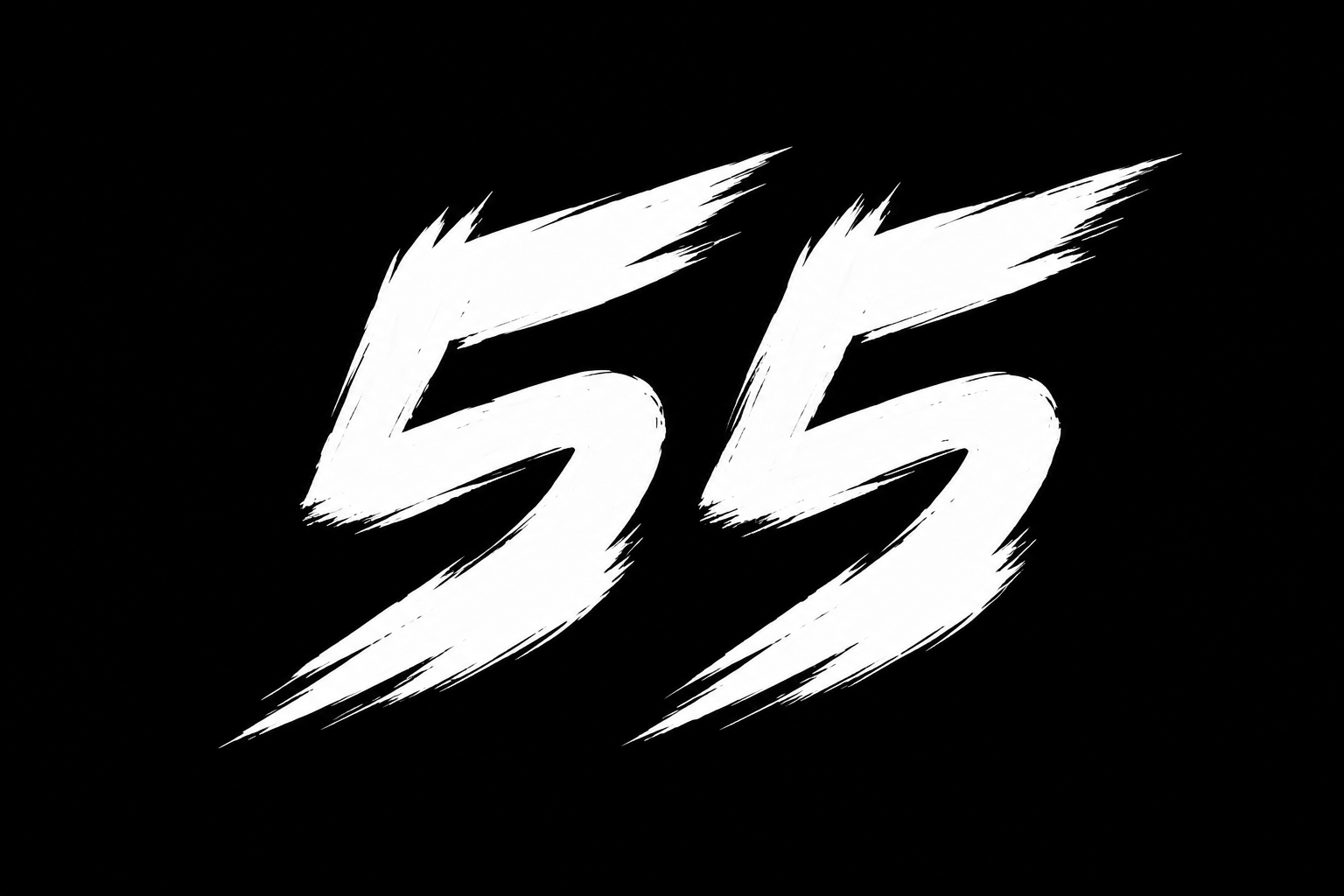 +55 Gaming logo
