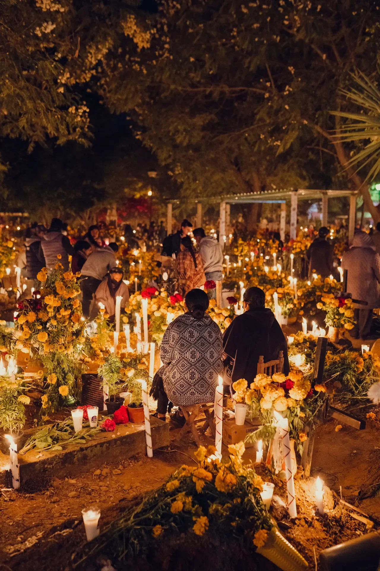 A community cemetery in the Oaxacan valleys. Image not property of the author; used for illustrative purposes.
