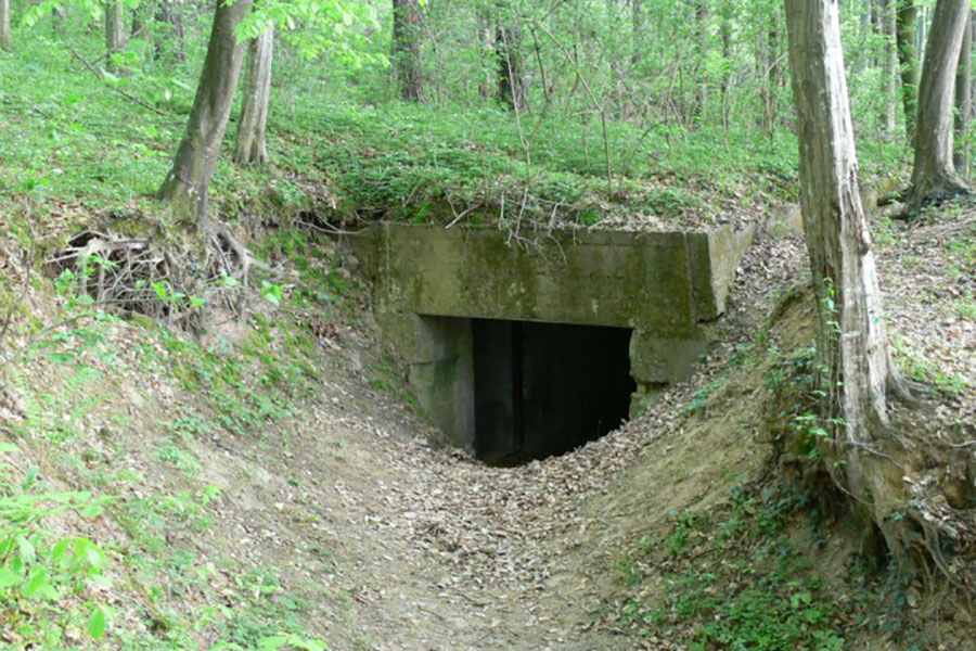 Aranyosi: Sajnálom, hogy lementem bunkerba thumbnail