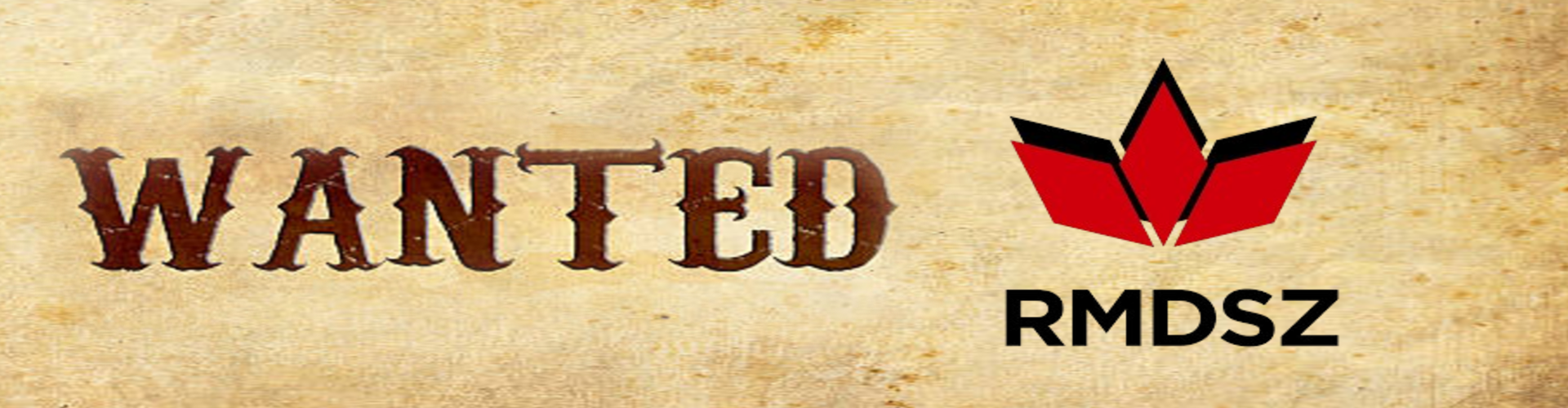 De hova tűnt az RMDSZ? thumbnail