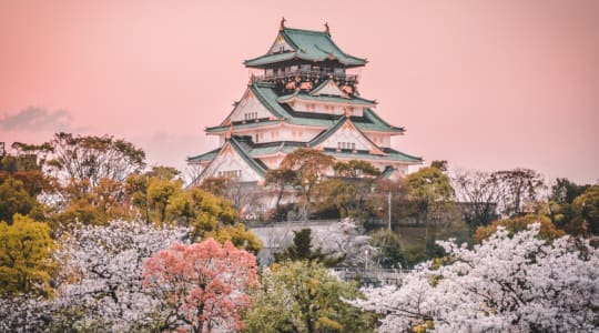 Photo of Osaka castle