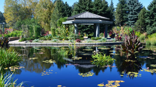 Denver Botanic gardens in United States