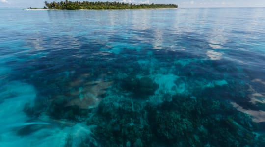 Photo of Hol Chan Marine Reserve