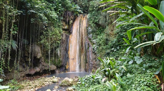 Photo of Diamond Falls Botanical Gardens