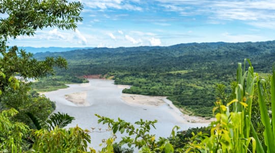 Manu National Park in Peru