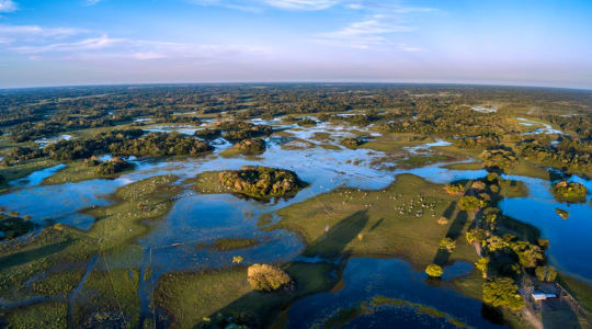 Photo of Pantanal Matogrossense National Park