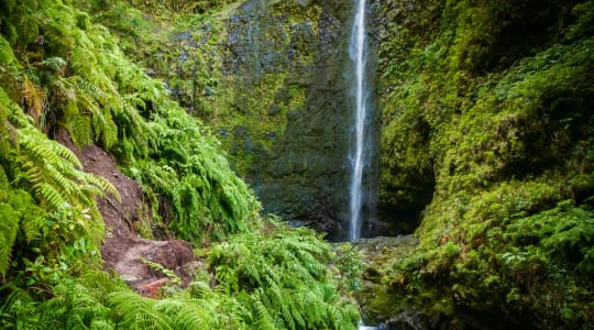 Photo of Levada Caldeirao Verde