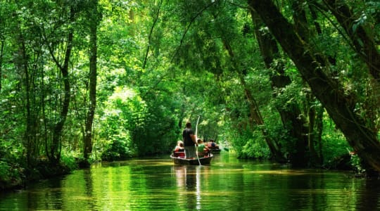 Photo of Marais Poitevin