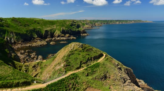 Photo of Devil's Hole Jersey