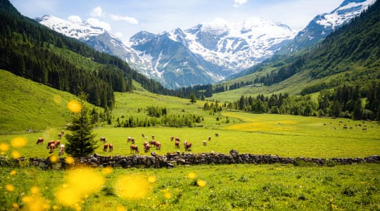 Photo of High Tauern