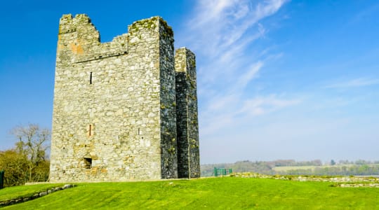 Photo of Audley's castle