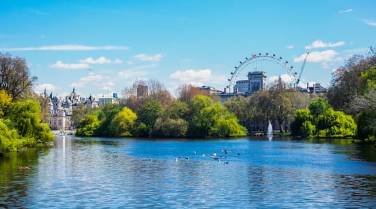 Photo of St. James's park