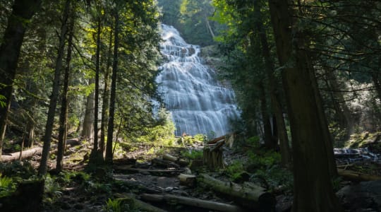 Photo of Bridal Veil Falls