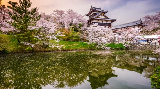 Koriyama castle in Japan