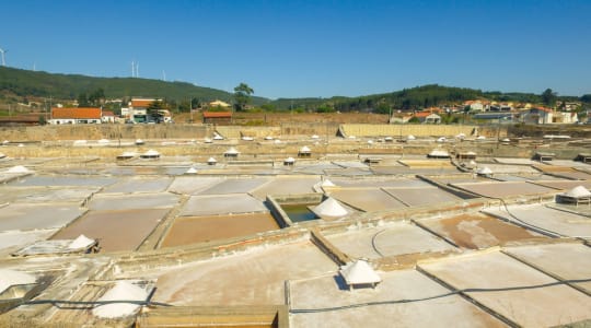 Photo of Salinas de Rio Maior