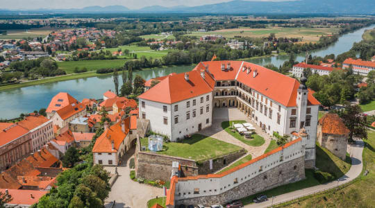 Ptuj castle in Slovenia
