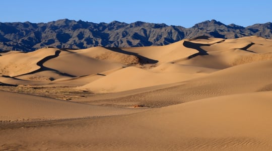 Khongoryn Els in Mongolia
