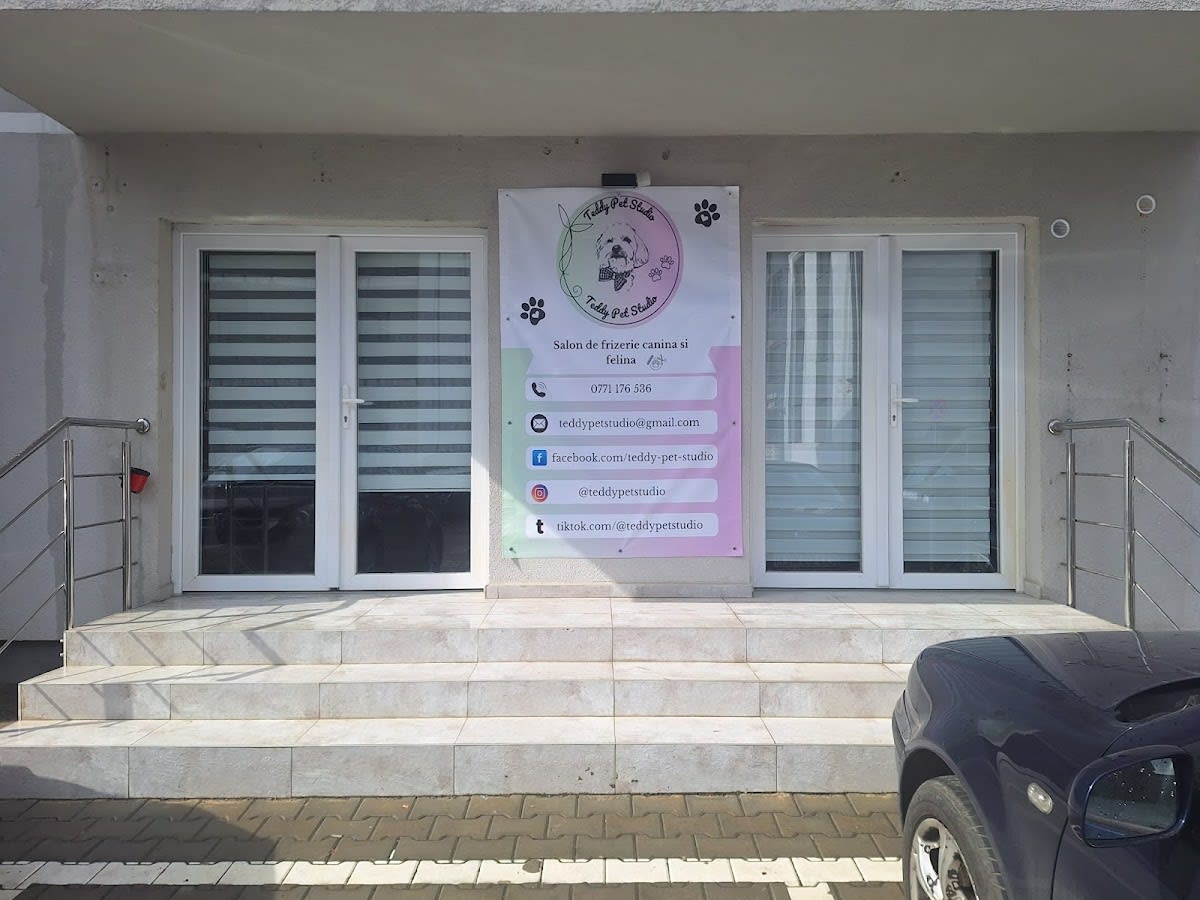 Teddy Pet Studio