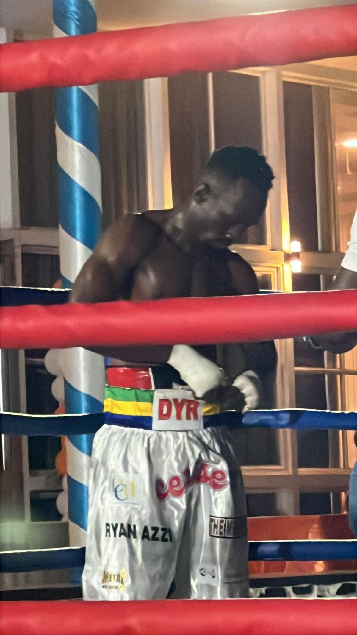PPBA BOXE PRO INTERNATIONAL