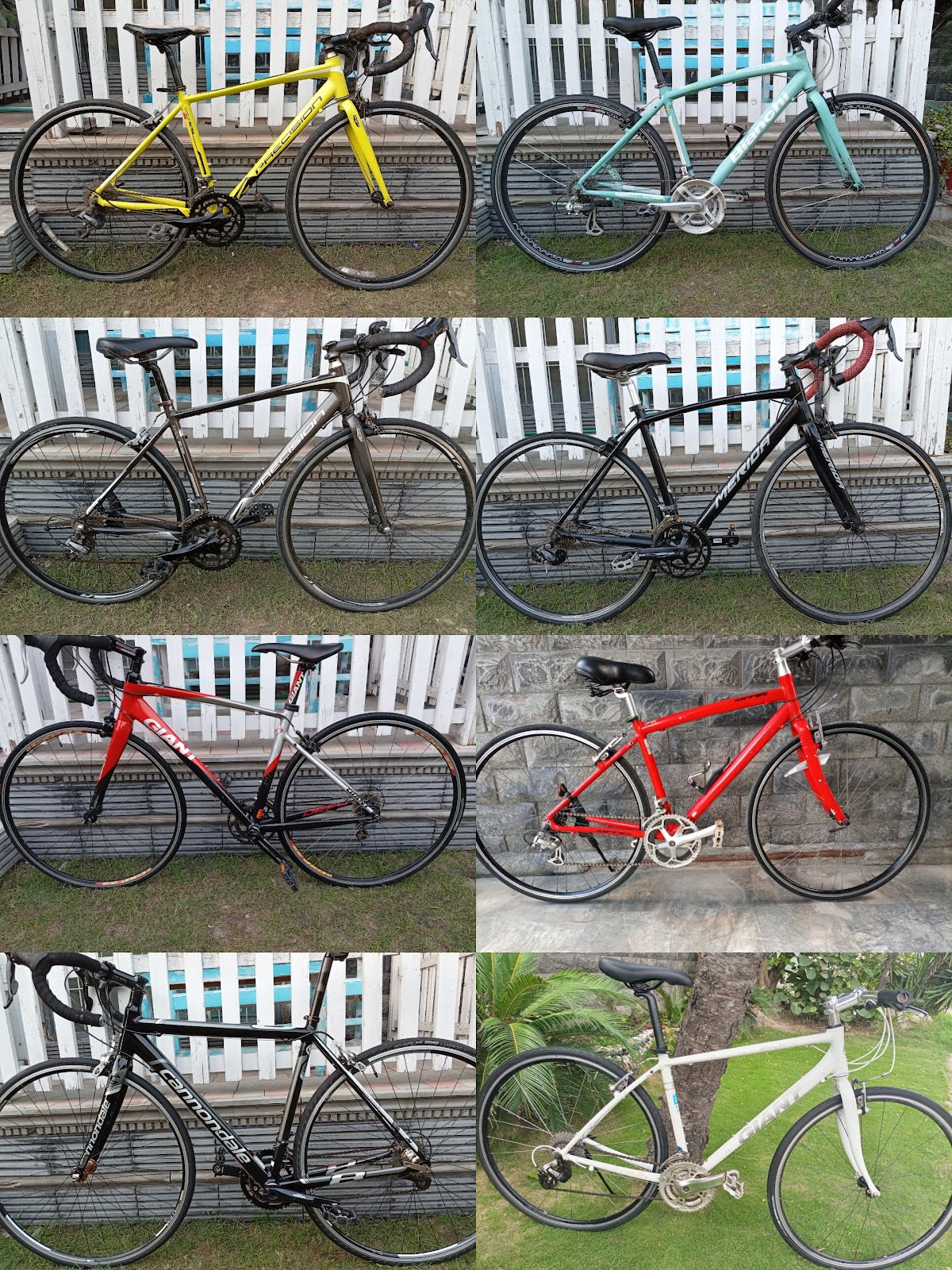 Pedal Paradise