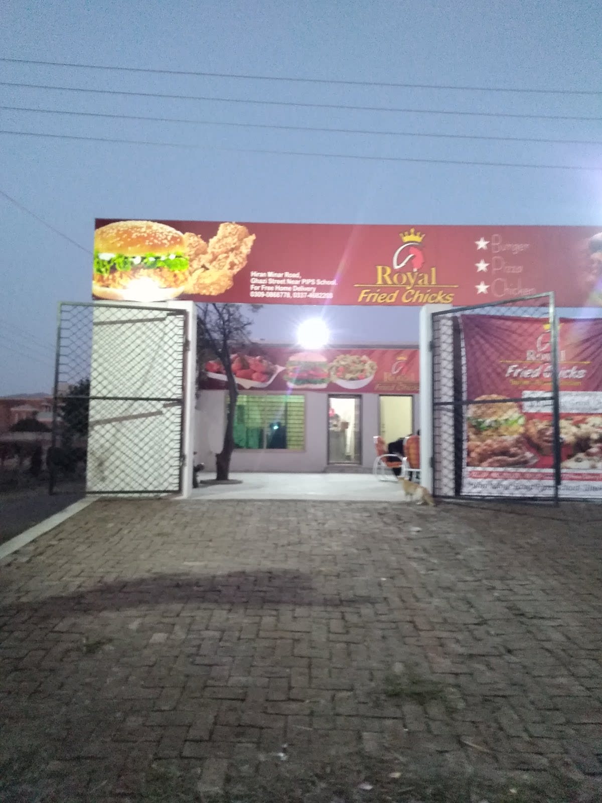 Royal Fried Chicks