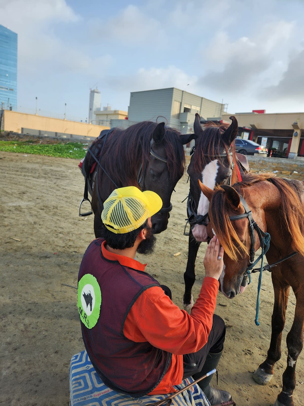 Mumtaz Riding School