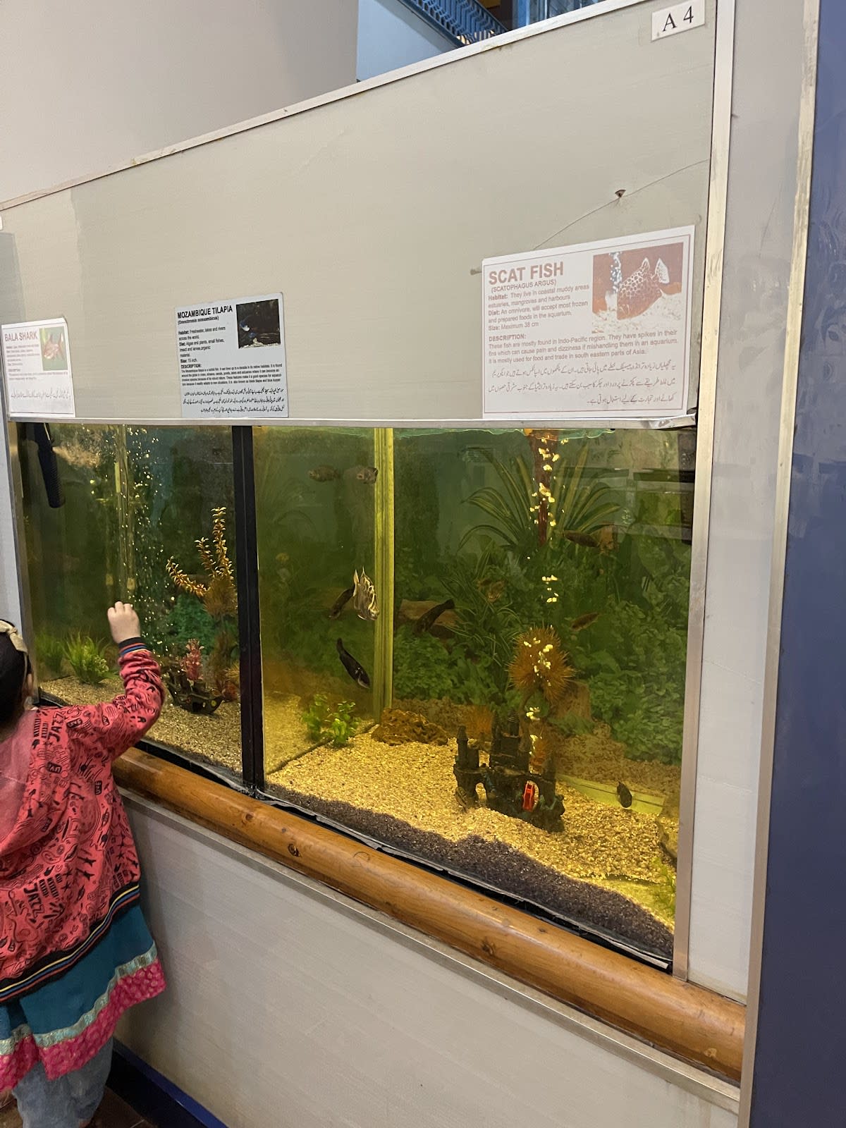 Aquarium