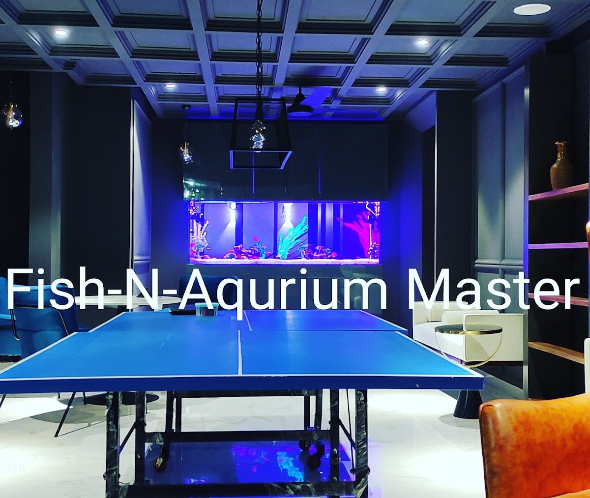 Fish-N-Aquarium Master