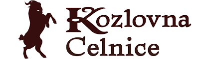 Kozlovna Celnice