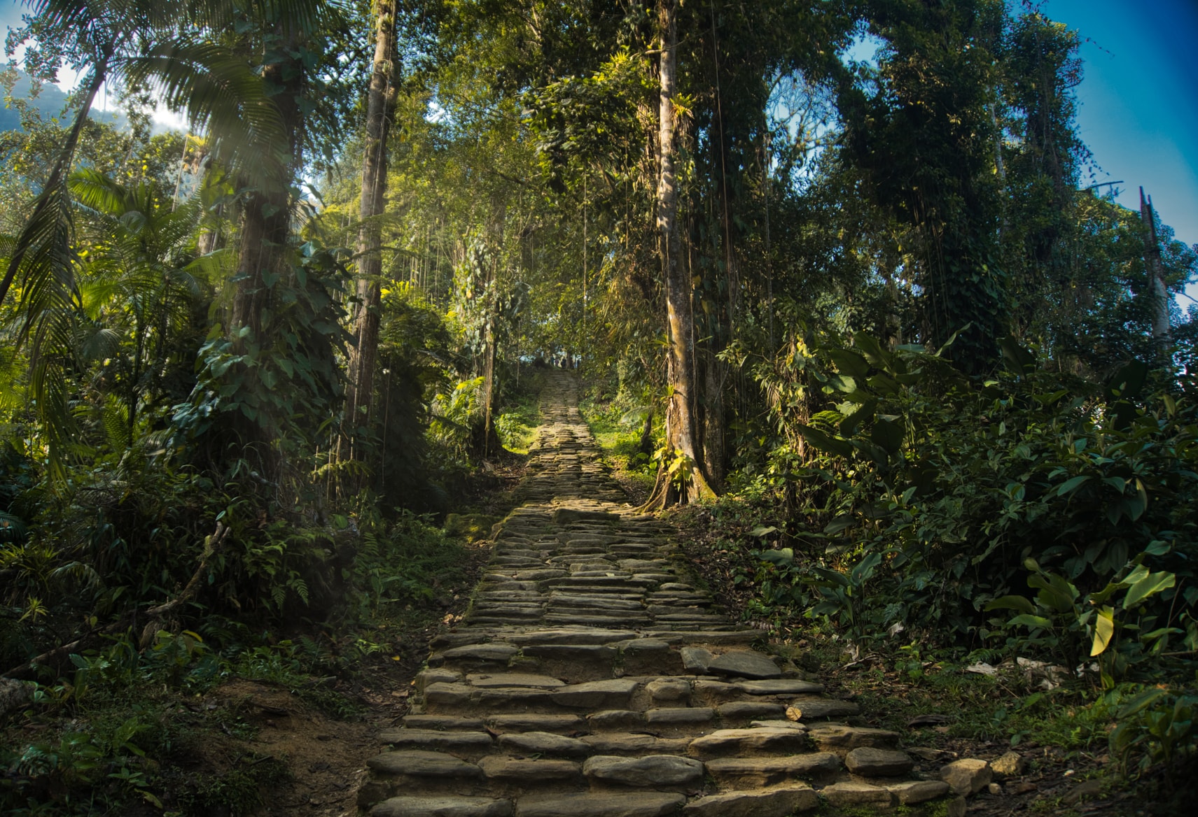 Ciudad Perdida - Trekking 4 días