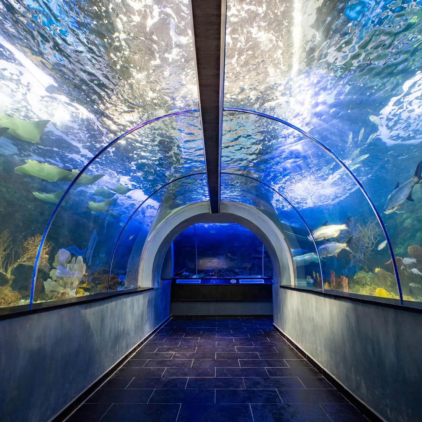 Playa Blanca + Acuario