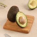 Avocado Hass - Tanzania