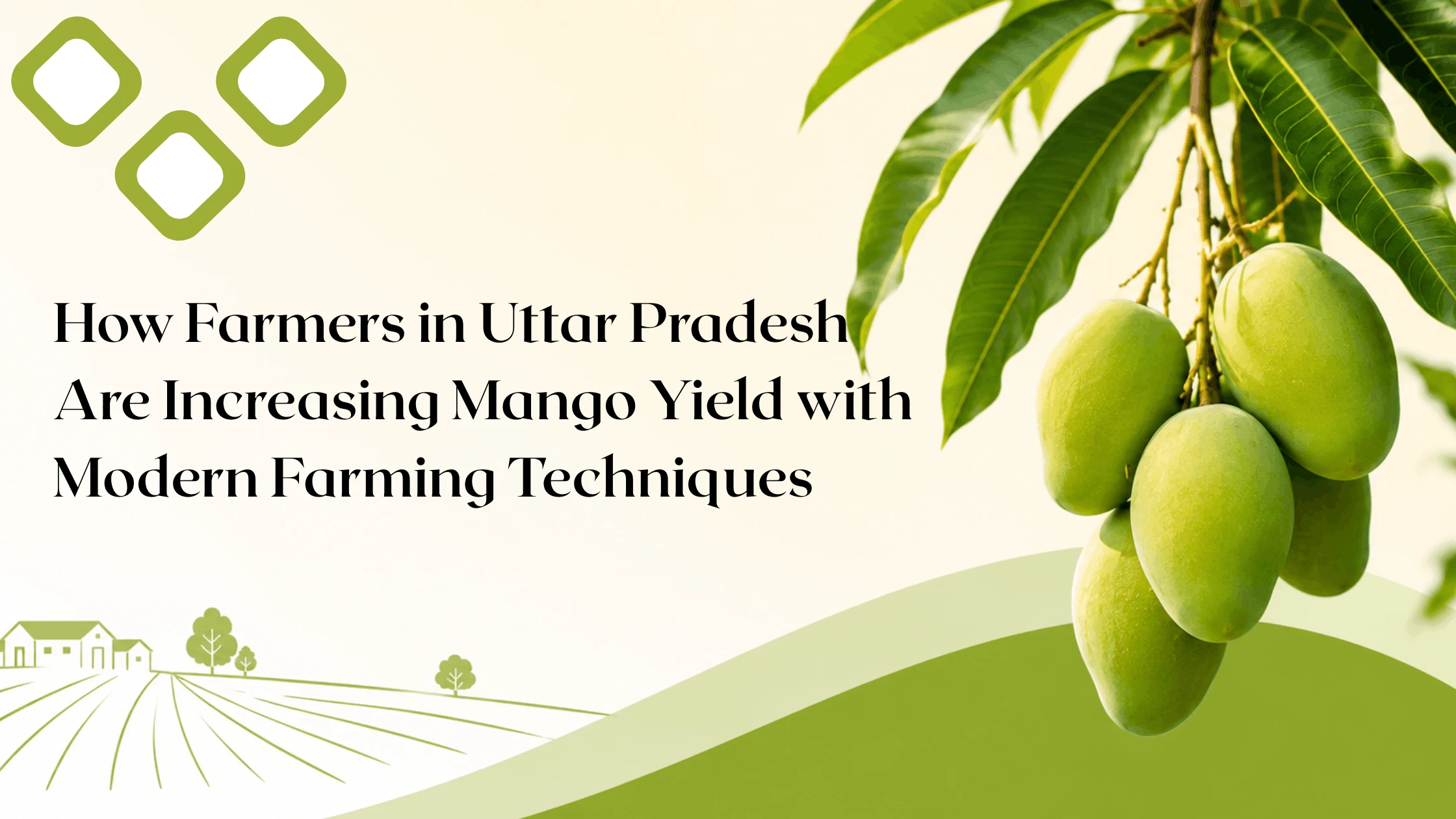 How Farmers in Uttar Pradesh Are Increasing Mango Yield with Modern Farming Techniques