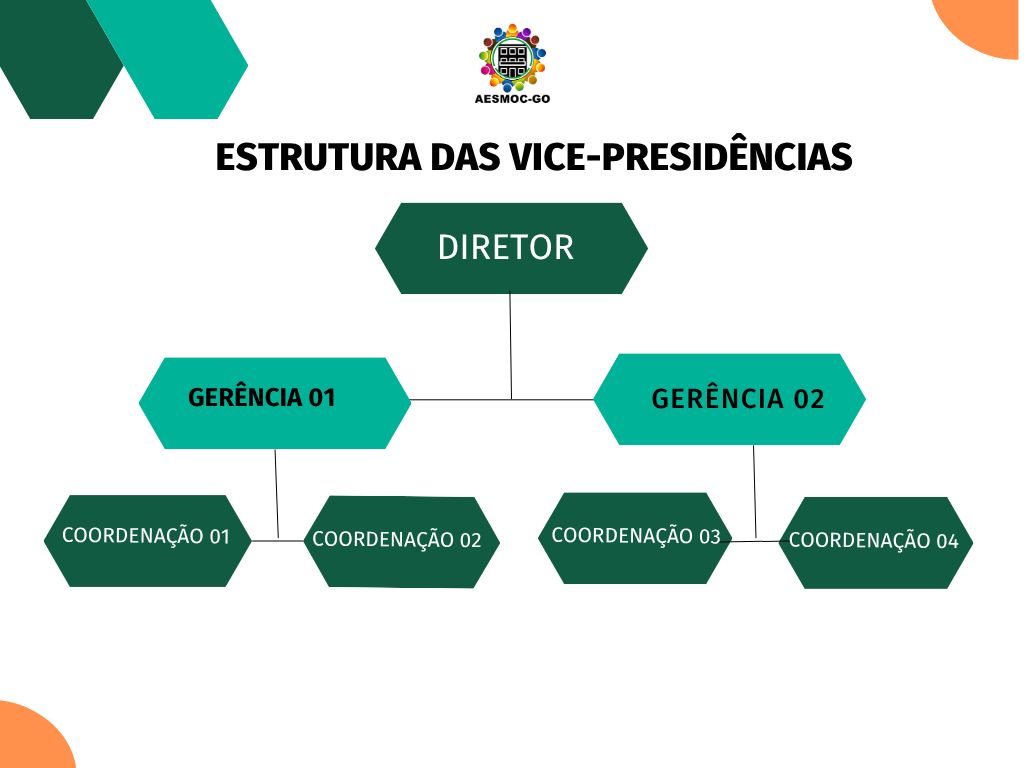 Estrutura das Vice-Presidências AESMOC/GO