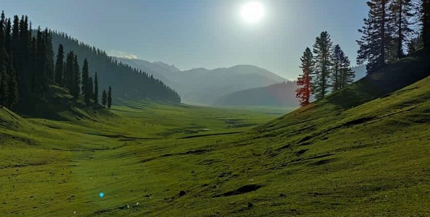 Bangus Valley