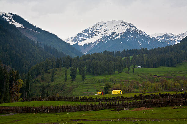 Aru Valley