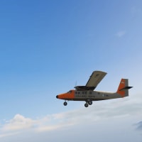 DHC-6 Twin Otter FACH [FiveM] - miniatura 6