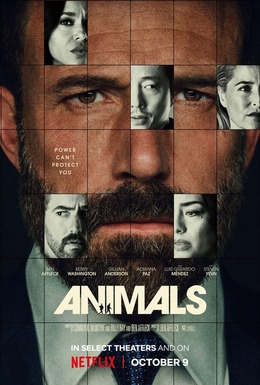 Animals poster