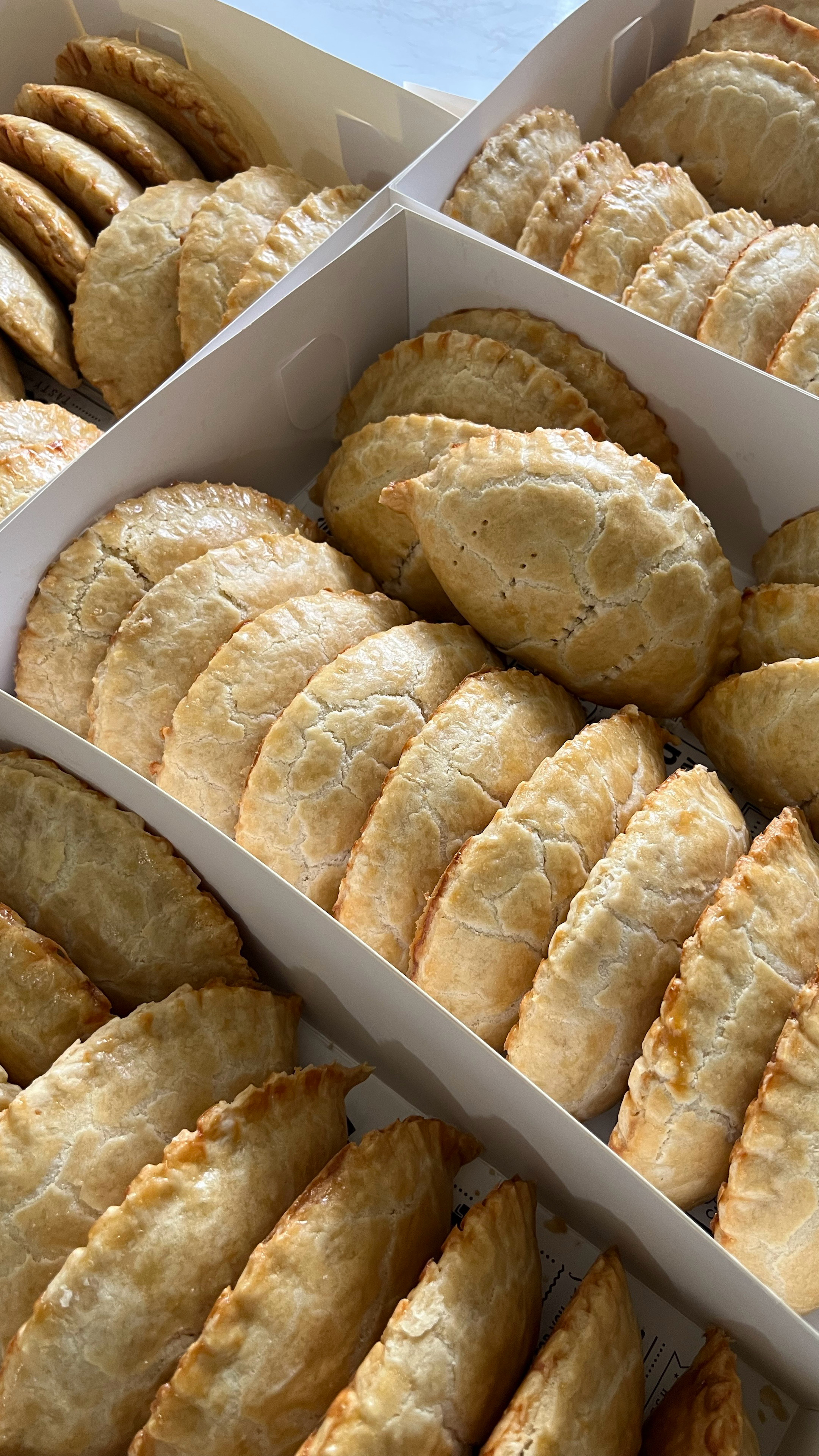 Meat Pie