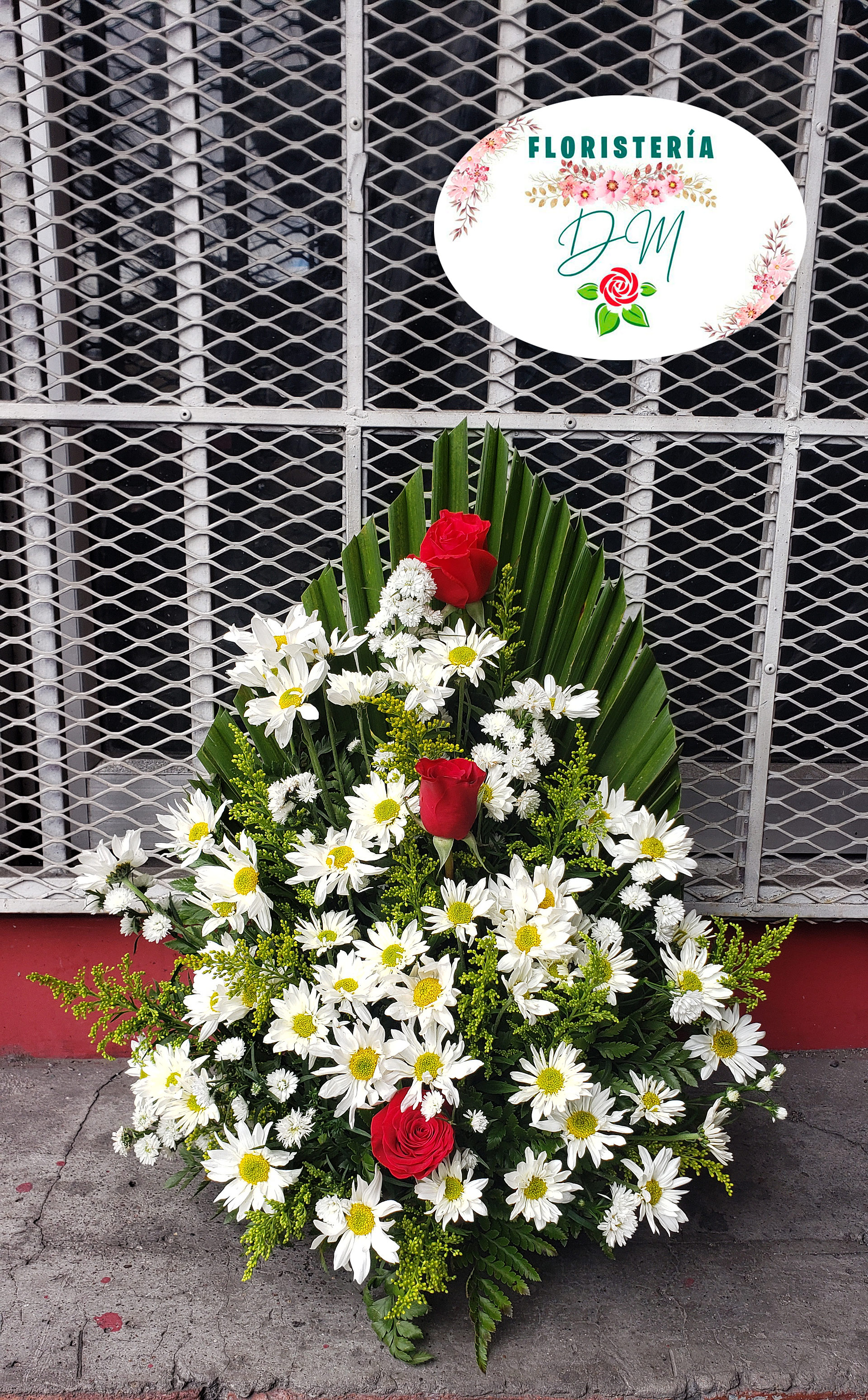 20220221 095345 copia resultado n8vxg8