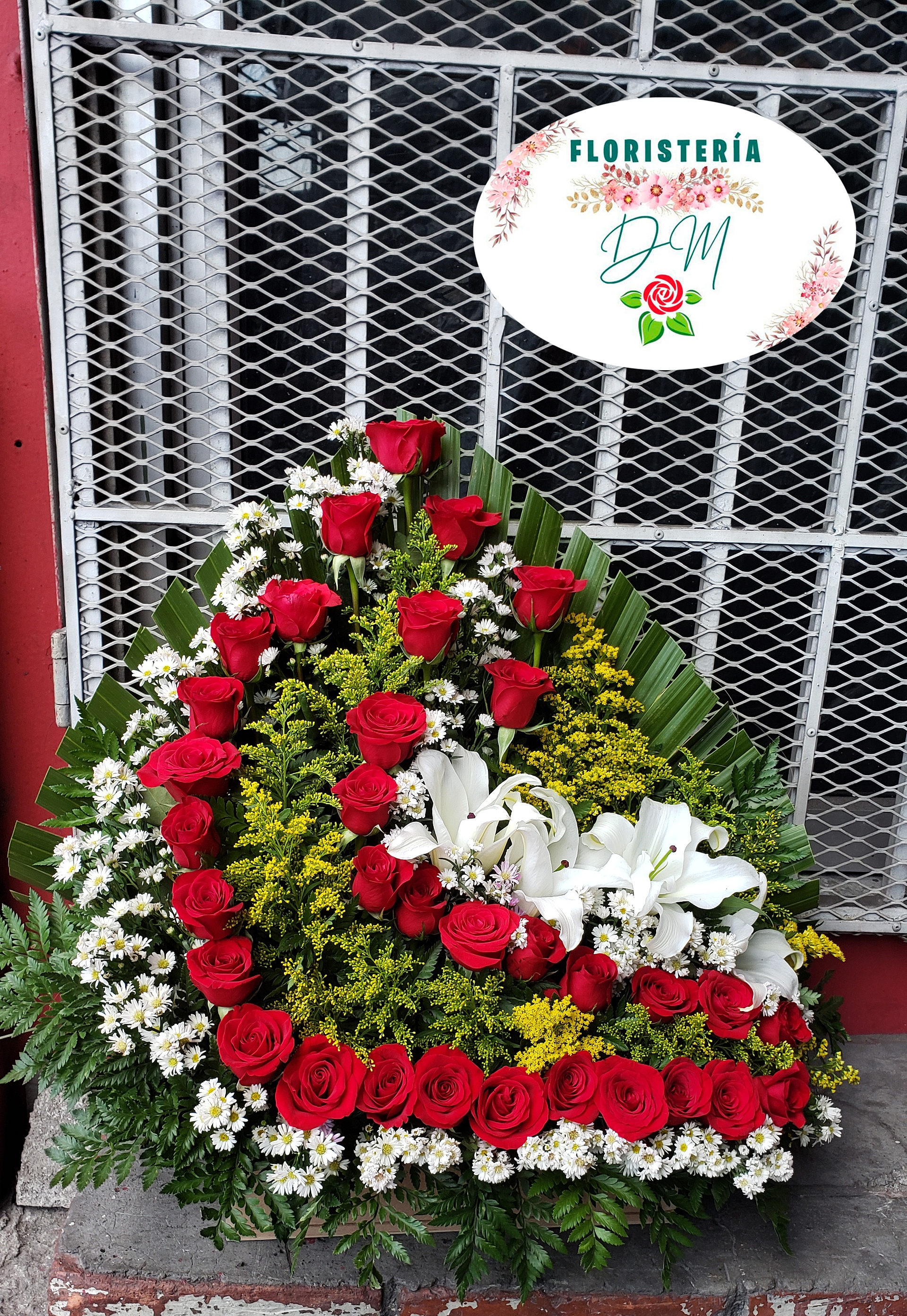 20220401 163212 copia resultado pnm6qt