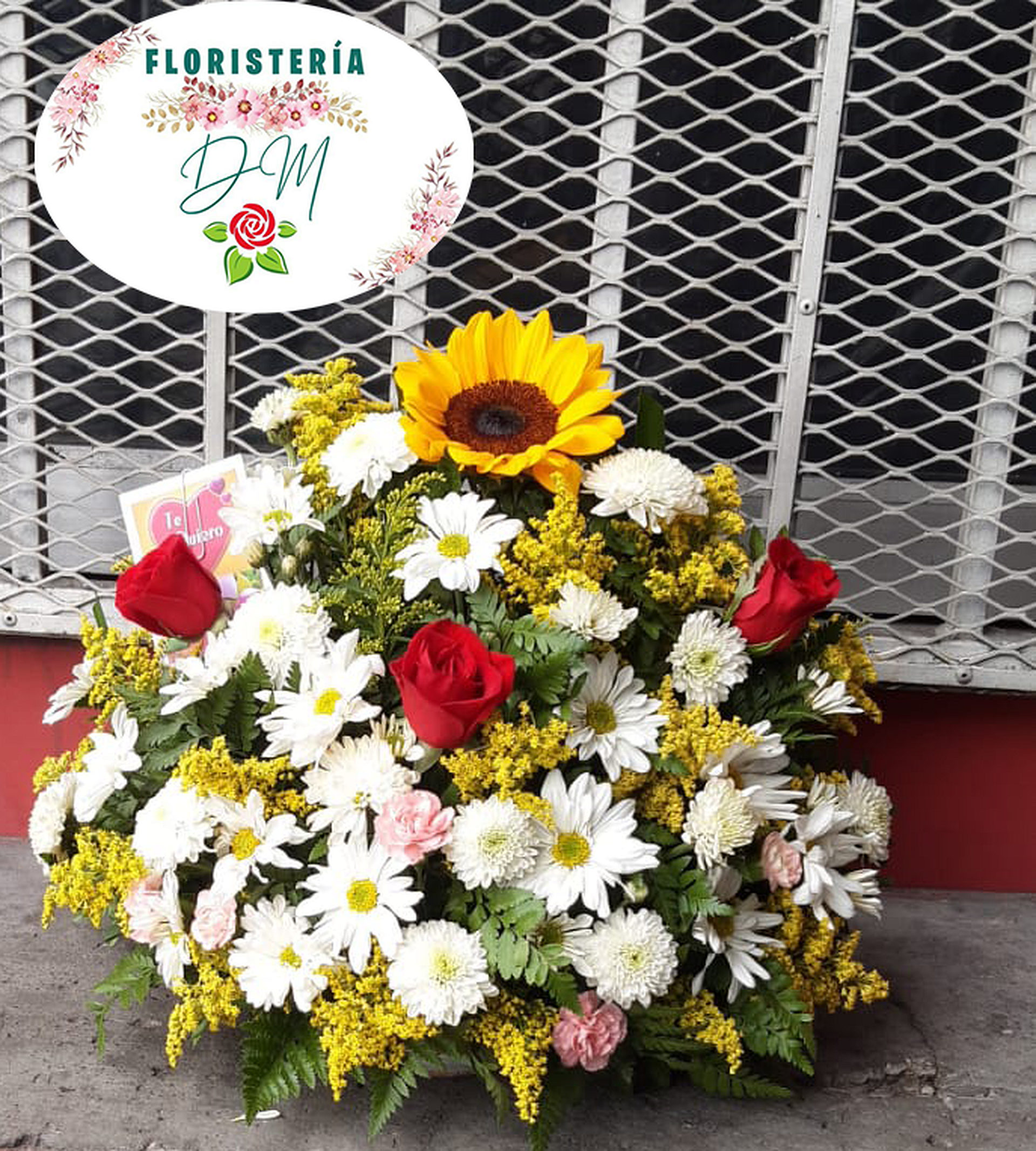 IMG 20220609 WA0032 copia resultado tn5ask