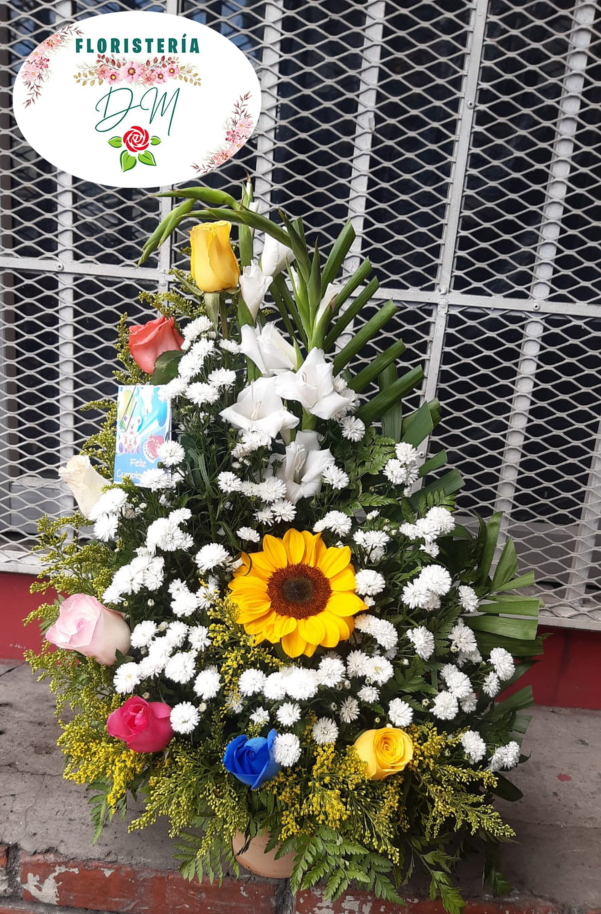 IMG 20220630 WA0087 copia resultado xjqp6r