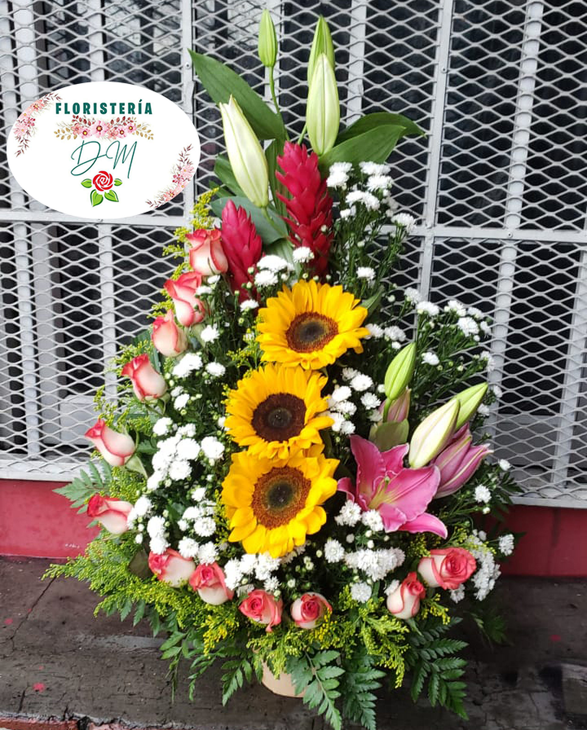 IMG 20220718 WA0135 copia resultado mxtayo