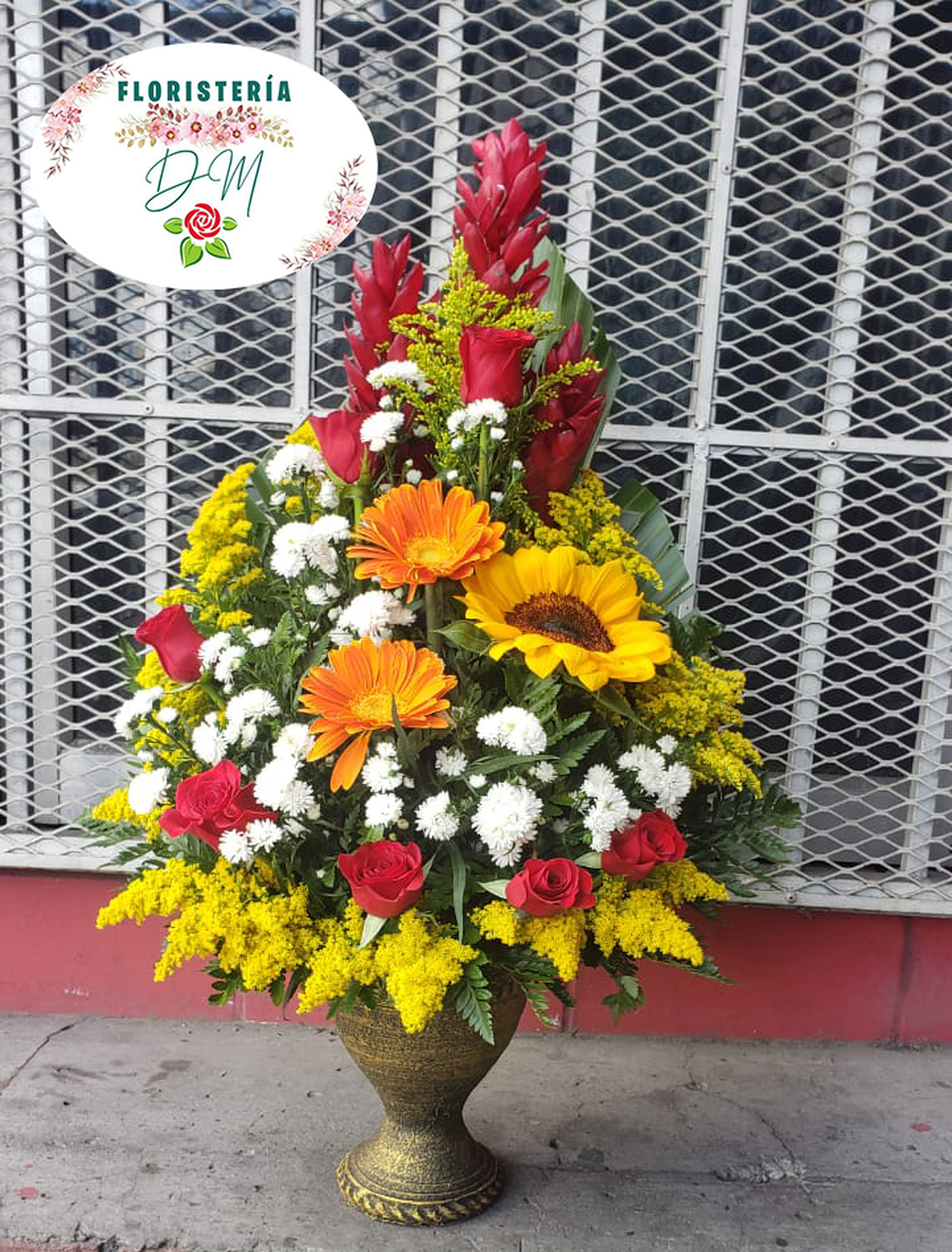 IMG 20220809 WA0023 copia resultado ctycnb