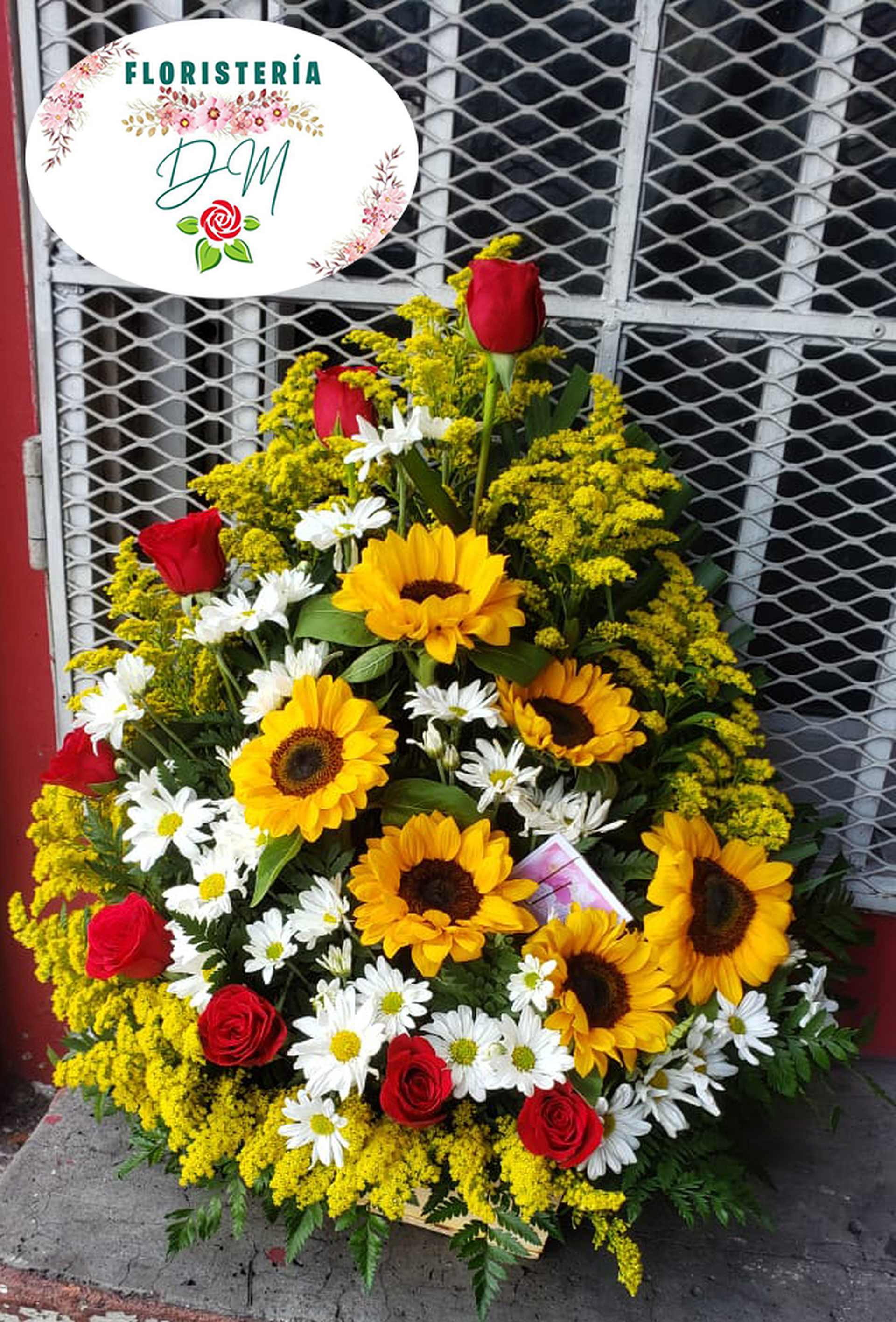 IMG 20220809 WA0028 copia resultado lglwhx