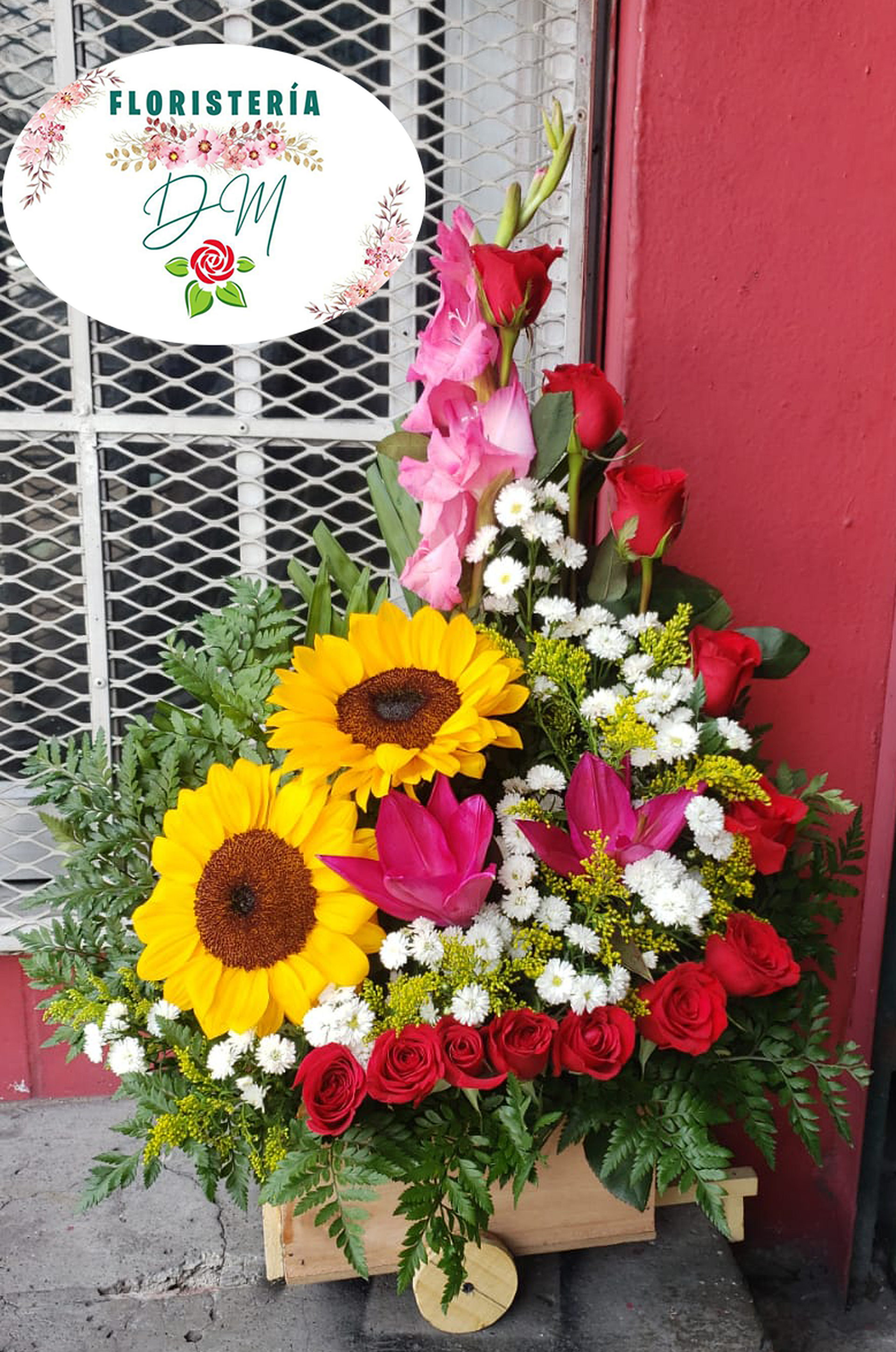 IMG 20220812 WA0063 copia resultado jdoxhf