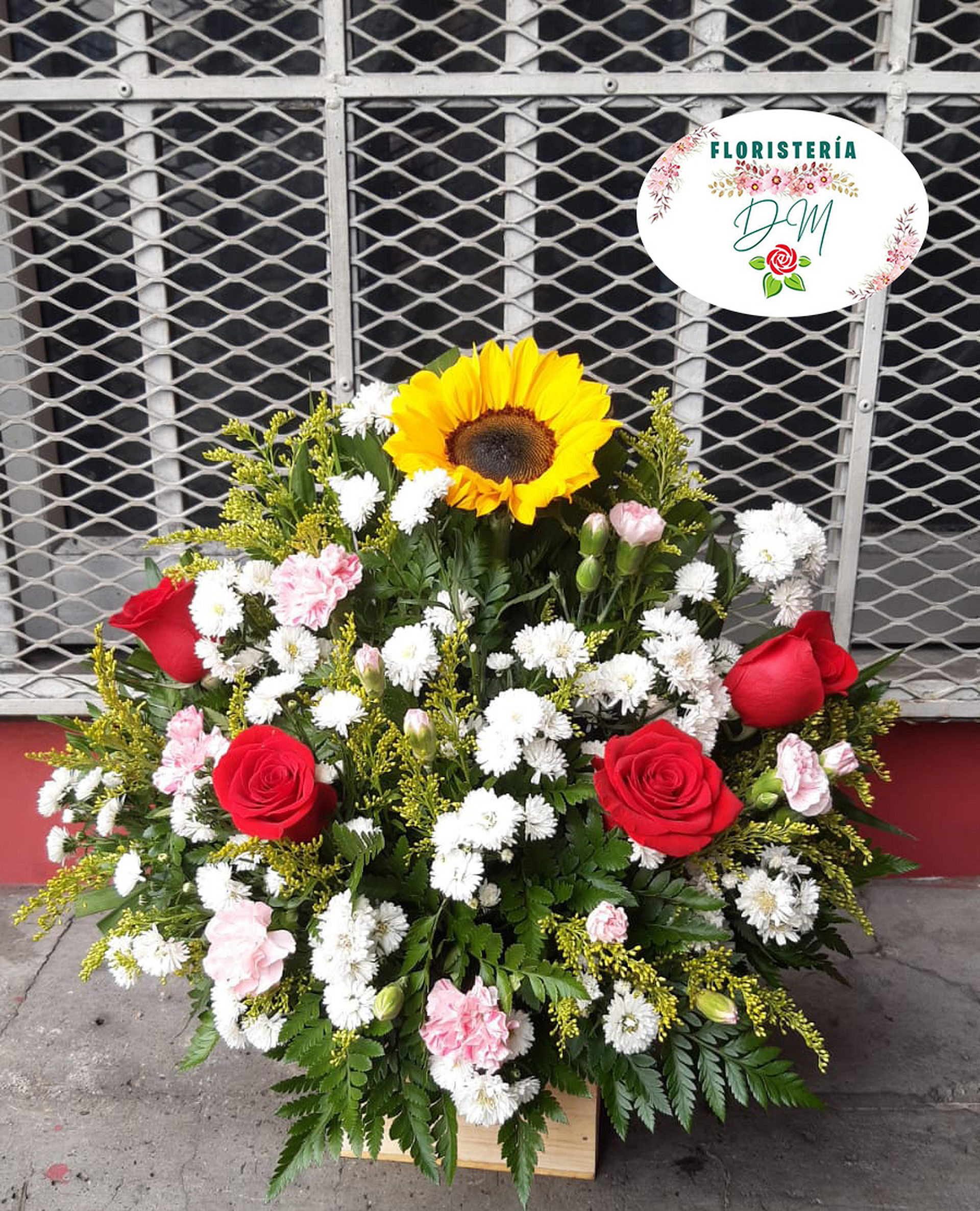IMG 20230310 WA0065 copia resultado oogrle